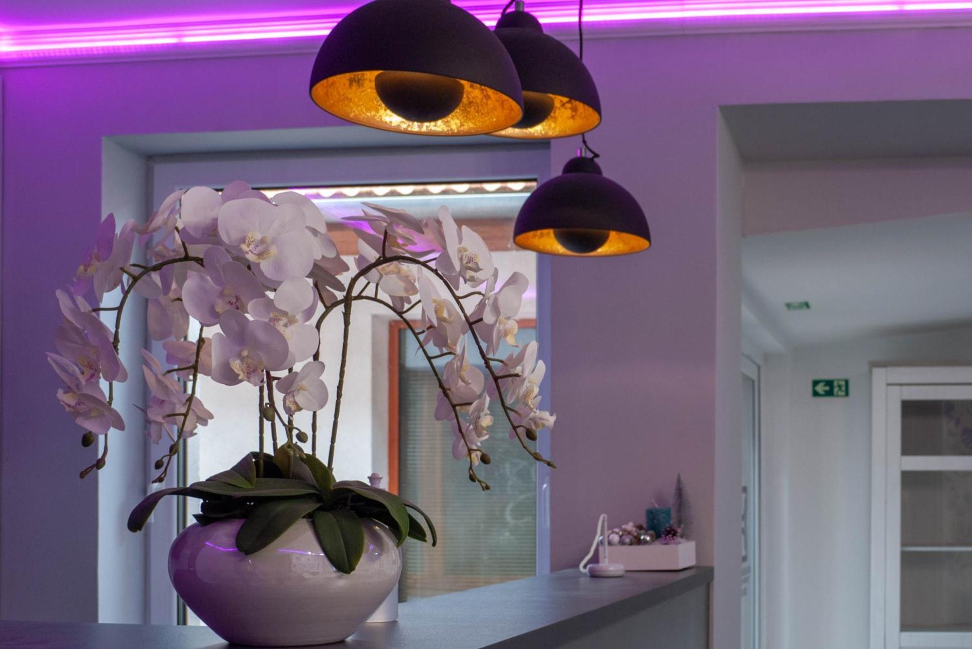Bornemisza Kuria Wellness Resort Tiszabecs Zewnętrze zdjęcie